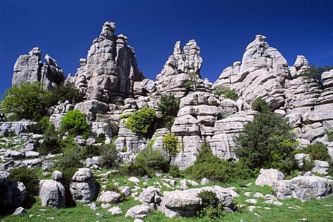 Torcal de Antequera Nature Park, Malaga province, Andalusia, Spain, Europe