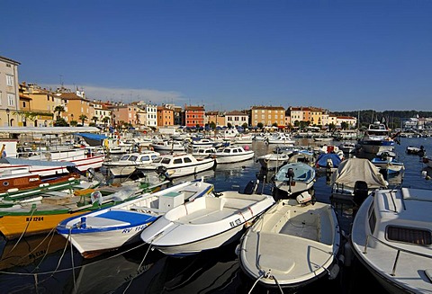 Boats, yachts, marina, in the center of Rovinj, Istria, Croatia, Europe