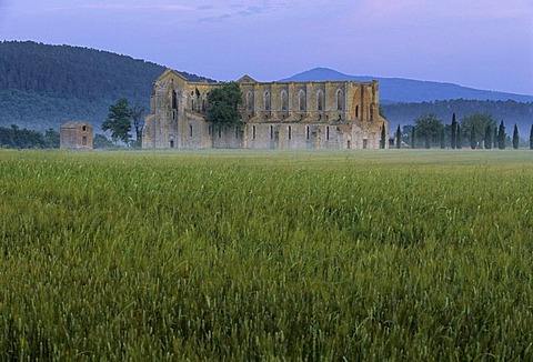 Basilica of the Cistercian Abbey Abbazia di San Galgano ruins near Chisudino, province of Siena, Tuscany, Italy, Europe