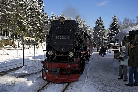 Harzer Schmalspurbahn, narrow-gauge railway with steam engine, Saxony-Anhalt, Germany