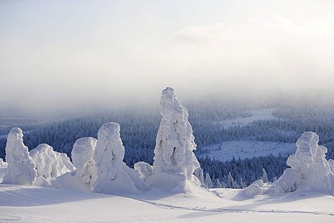 View from the Brocken mountain over a winter landscape deeply covered in snow, Saxony-Anhalt, Germany