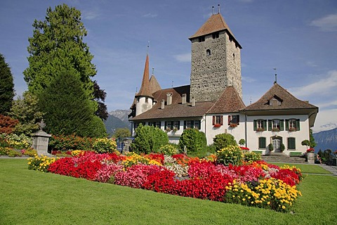 Spiez Castle in Spitz by Lake Thun, Niedersimmental, canton of Berne, Switzerland, Europe