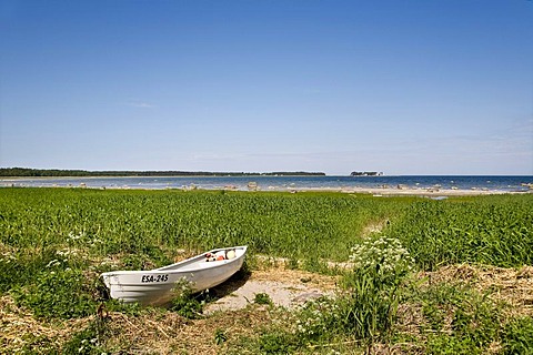 Boat in the reed, Altja fishing village, Lahemaa National Park, Baltic Sea, Estonia, Baltic States, North Europe