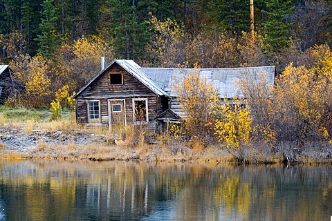 Historic log cabin, Klondike Gold Rush, Nares Lake, Lake Benett, fall colors, Carcross, Yukon Territory, Canada, North America