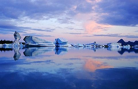 Icebergs in Prince William Sound, Alaska, USA