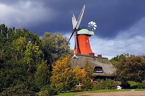 Historic windmill in dutch style, Reitbrook Mill, Vierlande, Marschlande, Hamburg, Germany, Europe