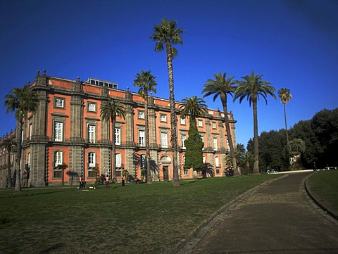 Royal Palace of Capodimonte, National Gallery and Museum by Florentine architect Ferdinando Fuga, 1743, entry grounds with palm trees, Naples, Italy, Europe