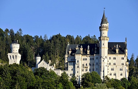 Neuschwanstein Castle, Allgaeu, Bavaria, Germany, Europe