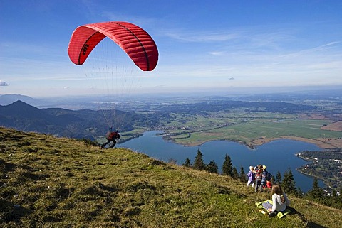 Paraglider, view from Jochberg over the Kochelsee lake, Alps, Upper Bavaria, Bavaria, Germany, Europe