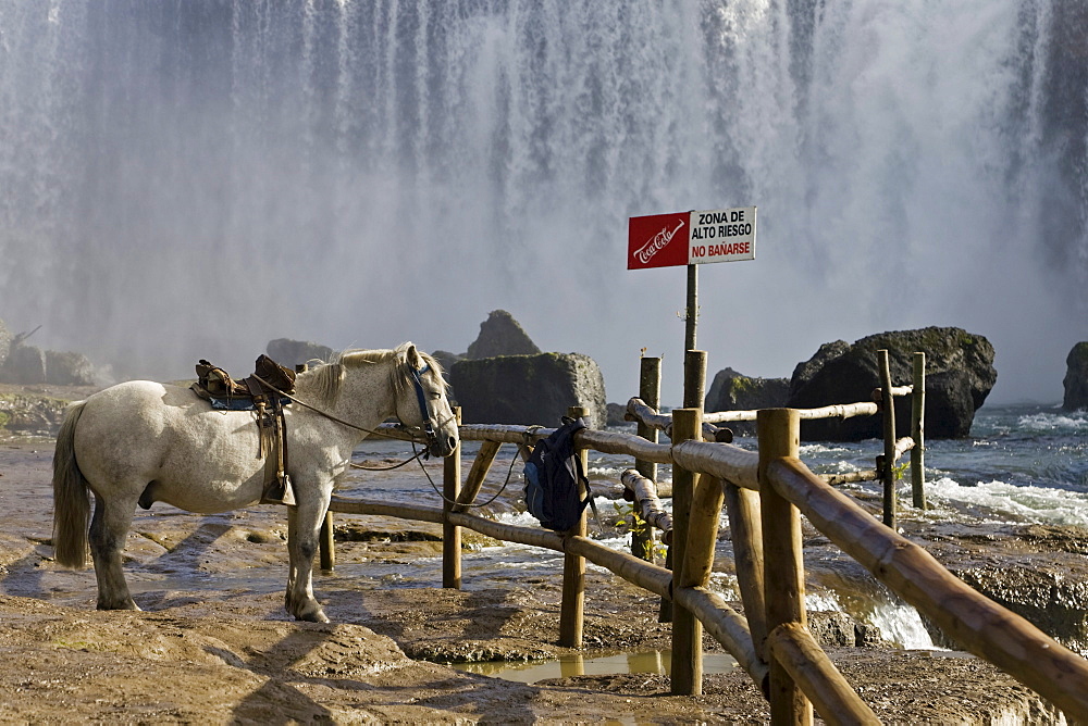 Horse at Salto del Laja, the biggest waterfall from Chile, river Rio Laja, Chile, South America