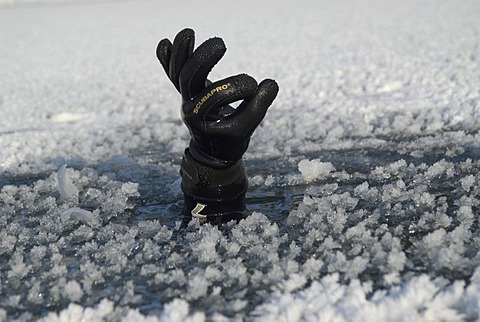 Diver sticking his hand out through a small opening in the frozen water, Reichraming, Upper Austria, Austria, Europe