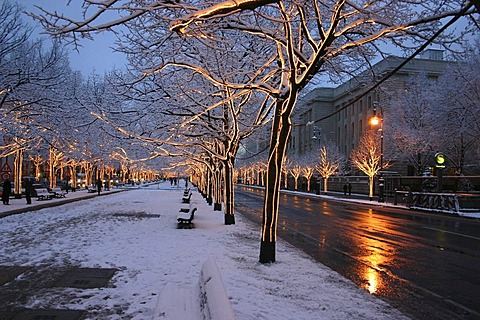 Winter in the evening, Unter den Linden, Berlin, Germany