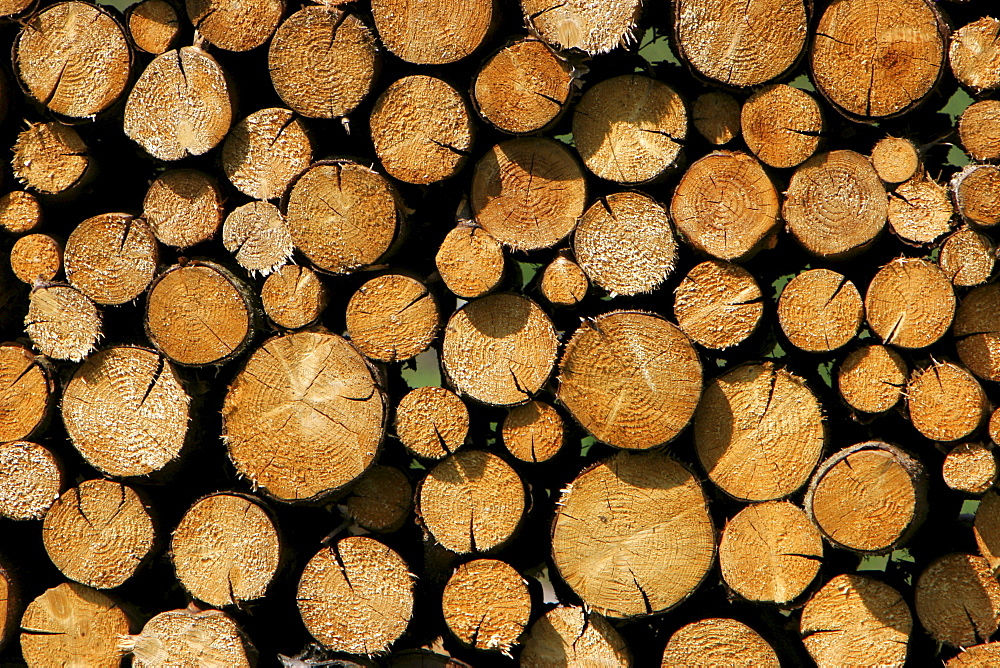 Wooden trunks