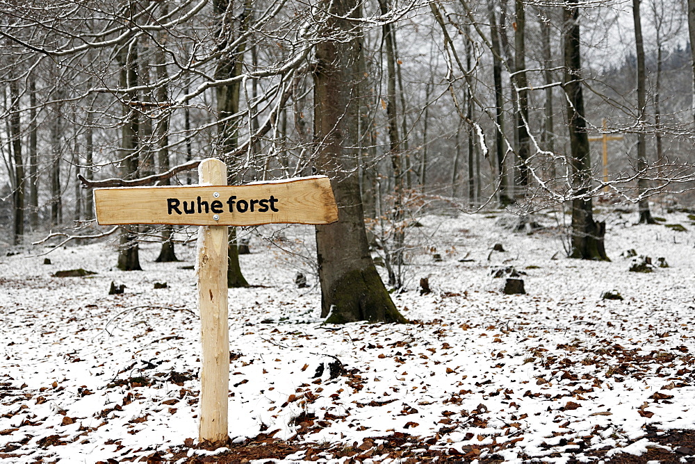 Sign, "Ruheforst" marking a woodland burial site, alternative cemetery, Palatinate region, Rhineland-Palatinate, Germany, Europe