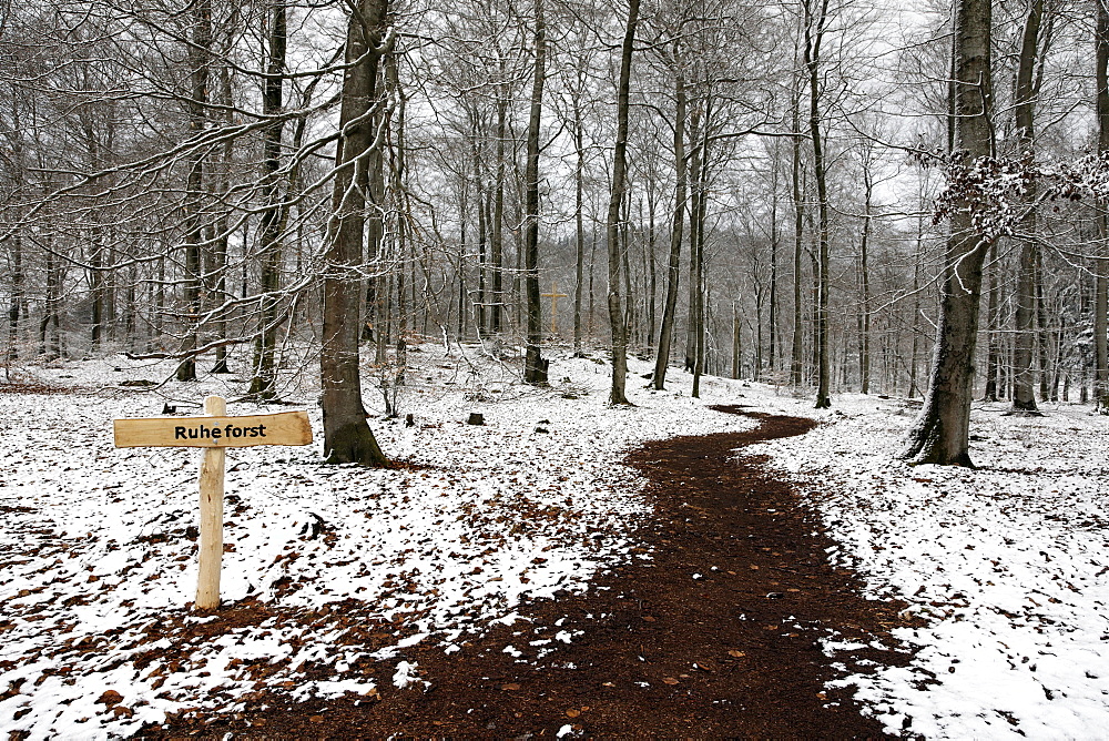 Sign, "Ruheforst" marking a woodland burial site, alternative cemetery, Palatinate region, Rhineland-Palatinate, Germany, Europe