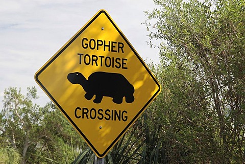 Sign "Gopher tortoise crossing", Myakka River State Park, Florida, USA