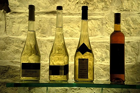 Wine bottles in the cellar Weinkulturhaus Gols Burgenland Austria