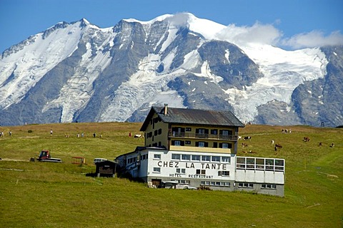 Mountain hut Restaurant Chez la Tante backed by the enormous mountain Mt. Blanc Haute-Savoie France