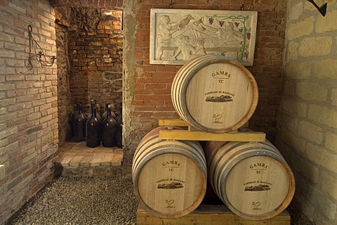 Wine cellar in the castle Castello di Razzano near Alfiano Natta north of Asti Piedmont Piemonte Italy