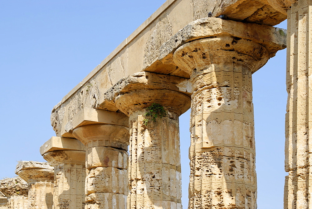 Temple E so-called temple of Hera Selinunte Sicily Italy