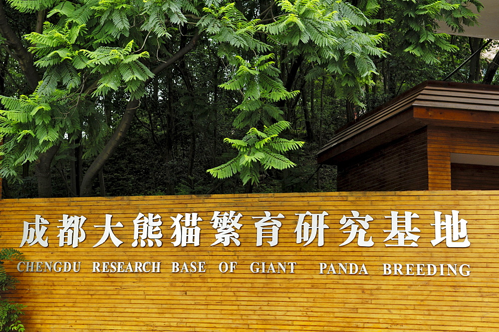 Entrance, panda breeding station near Chengdu, China, Asia