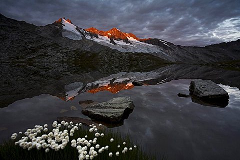 Reichenspitze peak reflected in the upper Gerlossee lake, Zillertal Alps, North Tyrol, Austria, Europe