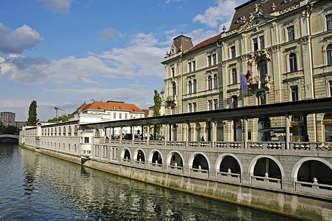 Market halls, Trznica, arcades of Joze Plecnik, river Ljubljanica, Ljubljana, Slovenia