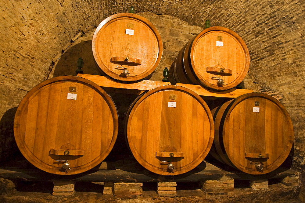 Old wine cellar in Montepulciano, Tuscany, Italy, Europe