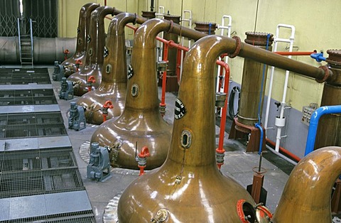 Distilling flasks at Glenfiddich Destillery Dufftown Scotland