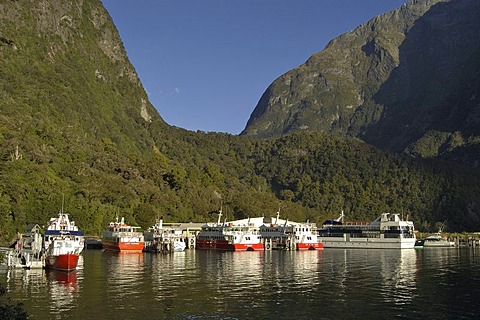 Excursion ships, Milford sound, South Island, New Zealand