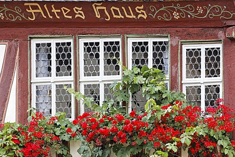 Crown glass or bull`s eye pane, Bacharach on the Rhine, Rheinland-Pfalz, Germany