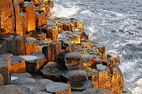 The sea is surging against the basalt columns of the GiantÂ¥s Causeway, Londonderry, North Ireland