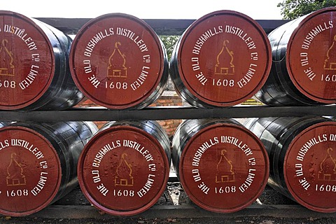 Barrels at the Bushmills Whiskey Distillery, Bushmills, Londonderry, North Ireland