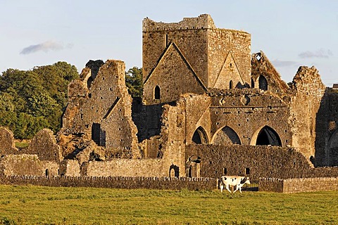 Hore Abbey, Cashel, Tipperary, Ireland