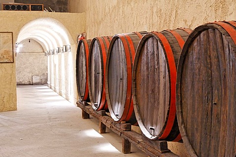 Big barrels in the vine cellar, wine museum and vinery Koutsouyanopoulos, Santorini, Greece