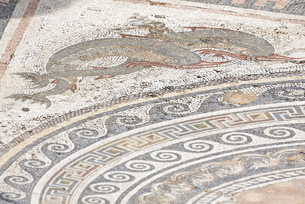 Detail of mosaic floor in atrium in House of the Dolphins, Delos, Greece