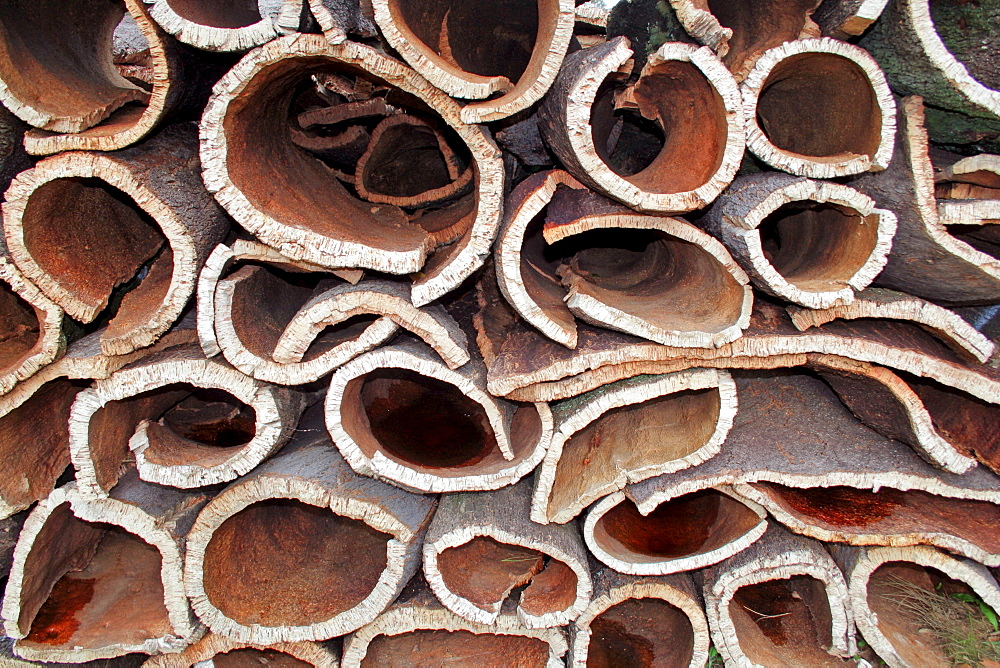 Detail cork oak stacks for drying material Monchique Algarve Portugal