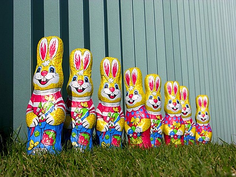 Eight easter bunnies from chocolate stand one behind the other before a fence made of metal on a juicy green meadow, Office of the Federal Chancellor, Berlin, Germany, Europe