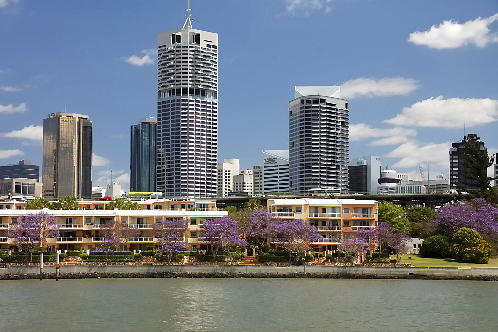 Skyline of Kangaroo Point, Brisbane, Queenlsand, Australia