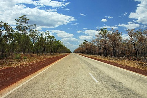 Straight highway in the Australian outback, Northern Territory, Australia