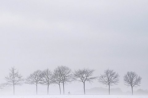 parkway in witer