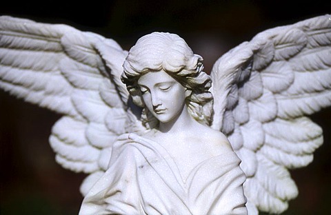 Cemetery with statue of an angel