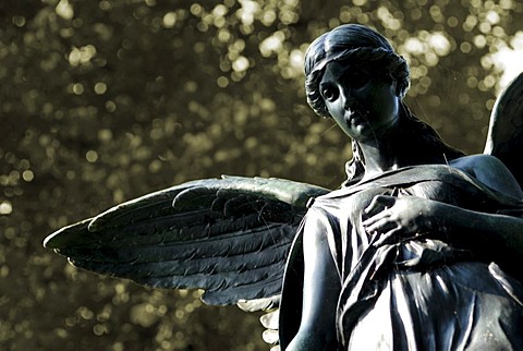 Cemetery with statue of an angel