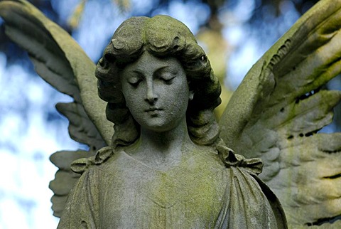 Statue of an angel on a cemetery