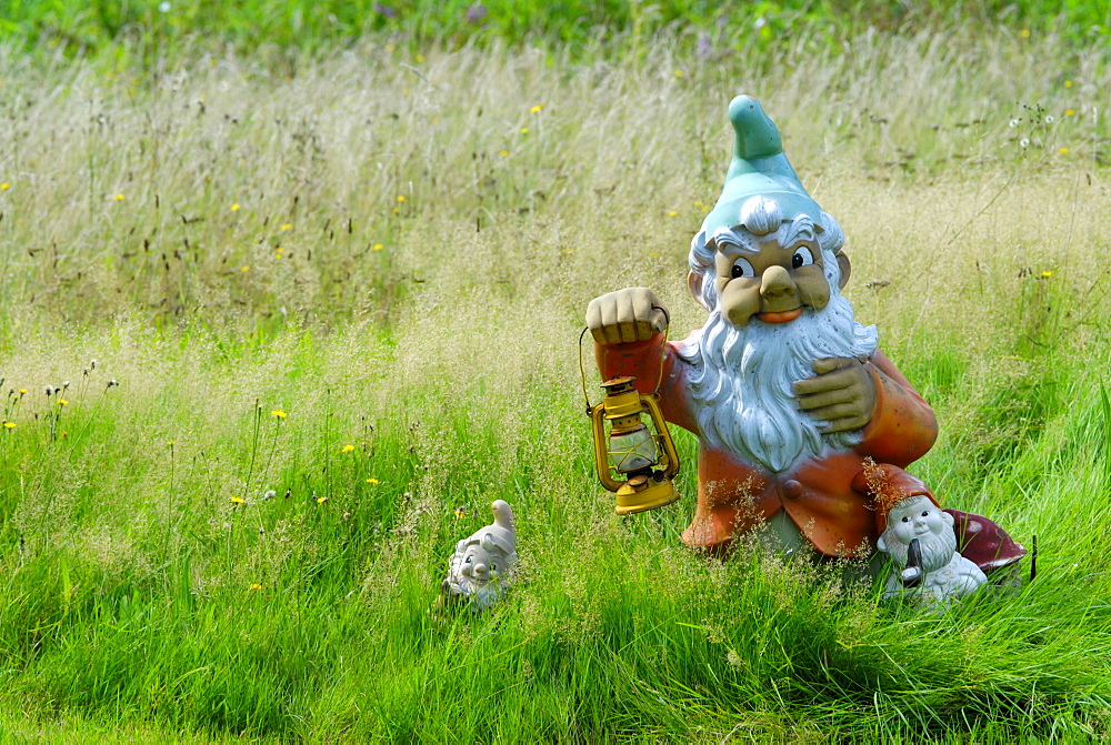 Garden gnome