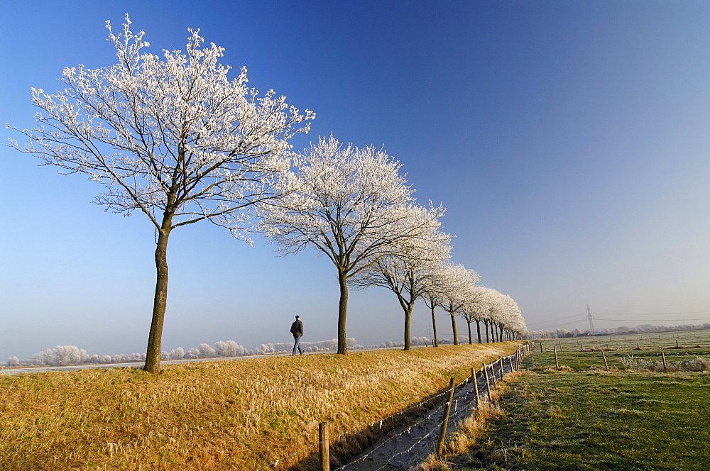 Winter landscape in Vier- und Marschlande, Hamburg, Germany