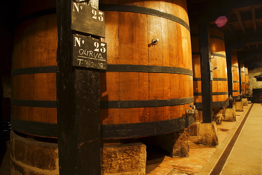 Wine barrels in a wine cellar, La Rioja, Spain