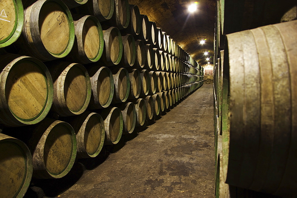 Wine barrels in a wine cellar in La Rioja, Spain