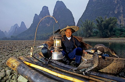 Typical fisherman with cormorants, Xingping, Guangxi, China, Asia