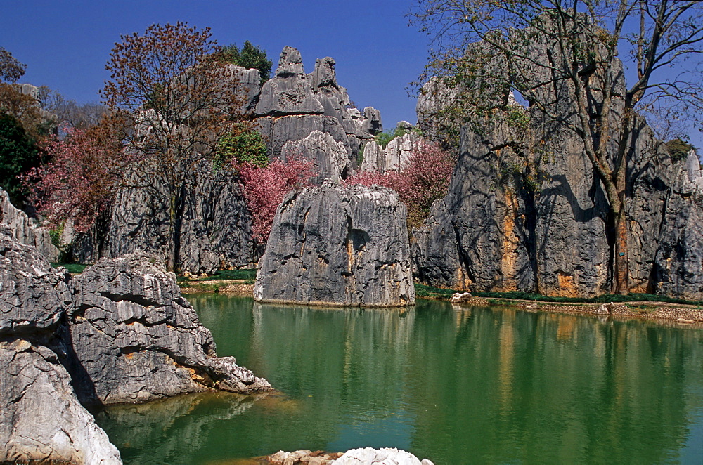 Shilin Hu Lake, stone forest, Kunming, Yunnan, China, Asia